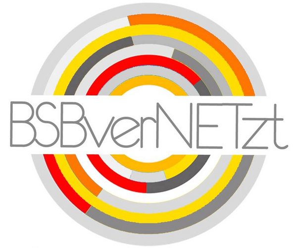 BSBverNETzt Logo